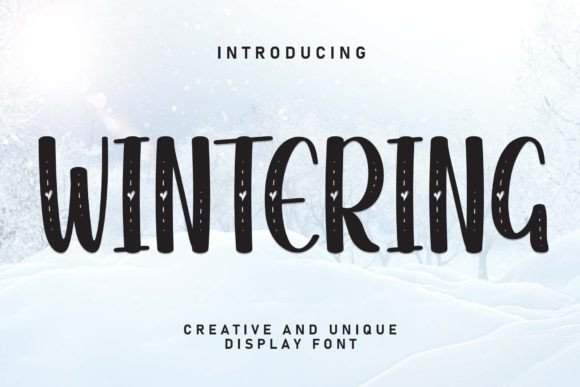 Wintering: A Sweet Handwritten Display Font for Editorial Warmth